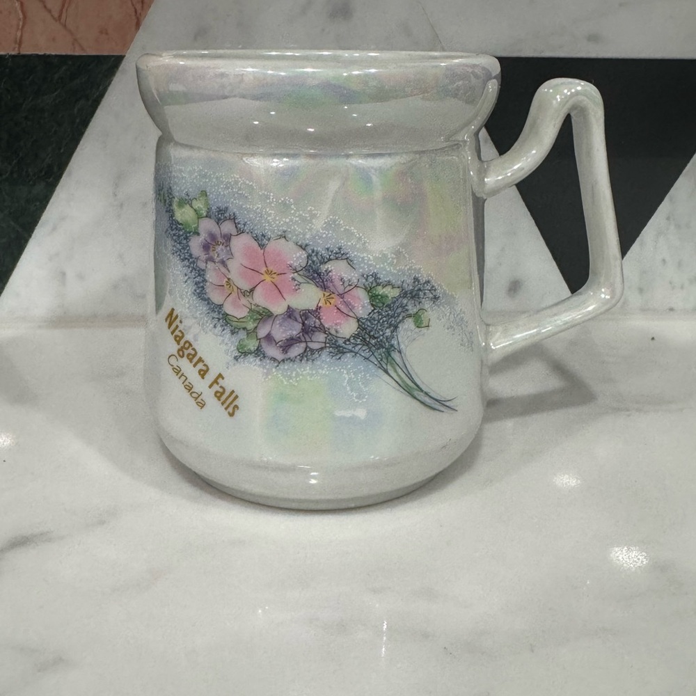 Vintage Niagara Falls Canada Souvenir Mug
